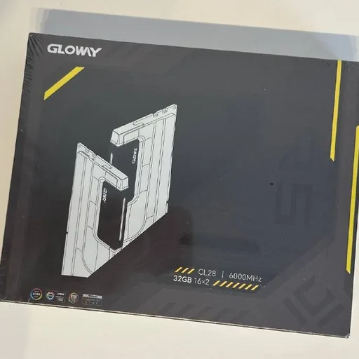 DDR5 Gloway 2x16GB 6000 CL28 RAM