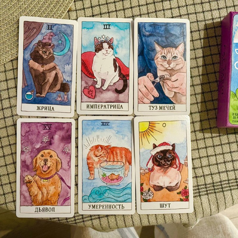 Таро котиков карточная игра 4