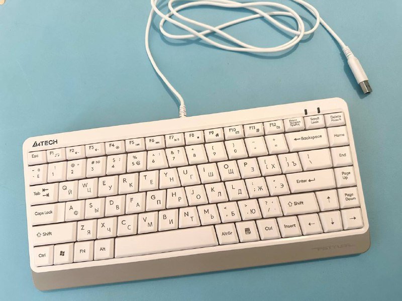 Клавиатура A4Tech Fstyler FKS11 USB