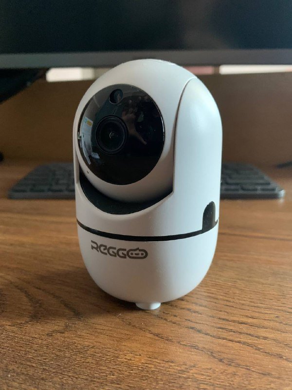 Поворотная камера видеонаблюдения REGGO 3