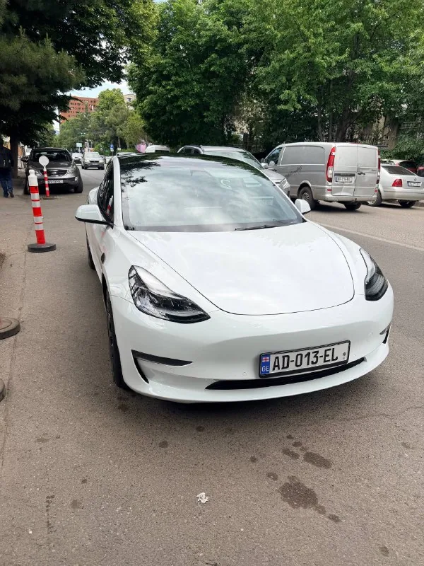 Tesla Model 3 Standard 1
