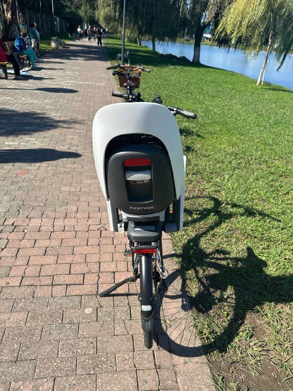 Велосипед Raymon Tourray 2.0, детское кресло Hamax, держатель телефона и цепь 4