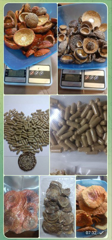 Красный и пантерный мхм для здоровья