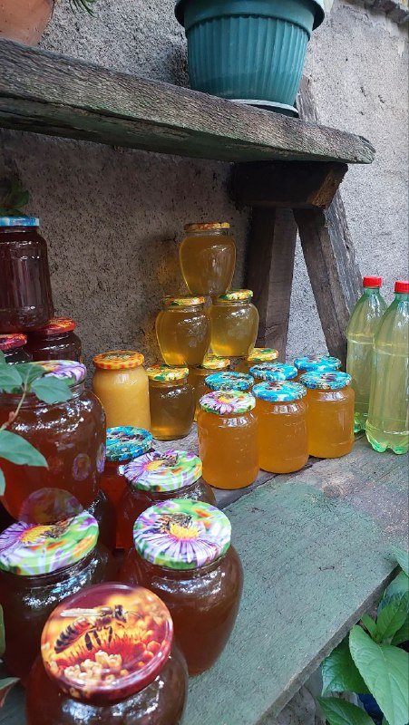 Пчелиная продукция: мёд, забрус, перга, пыльца, маточное молочко, воск, уксус, медовая водка 8