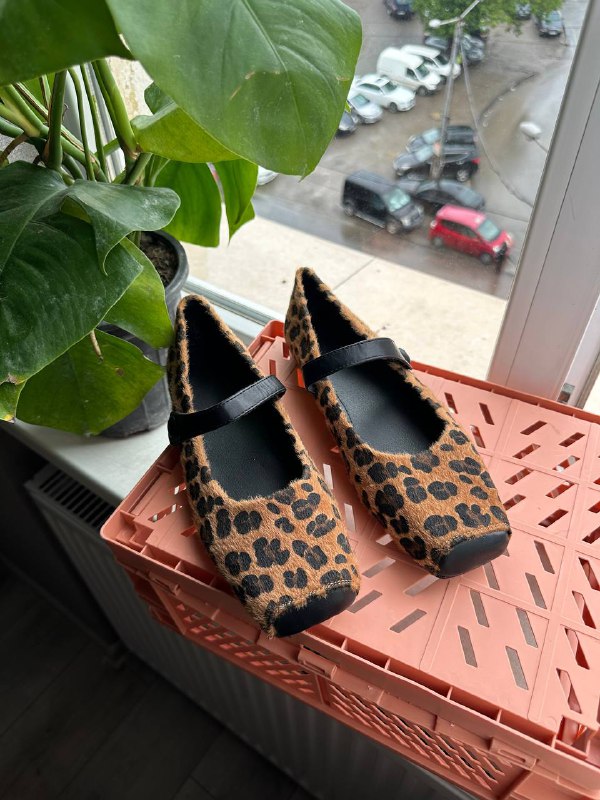 Книга, босоножки, балетки, сапожки 3