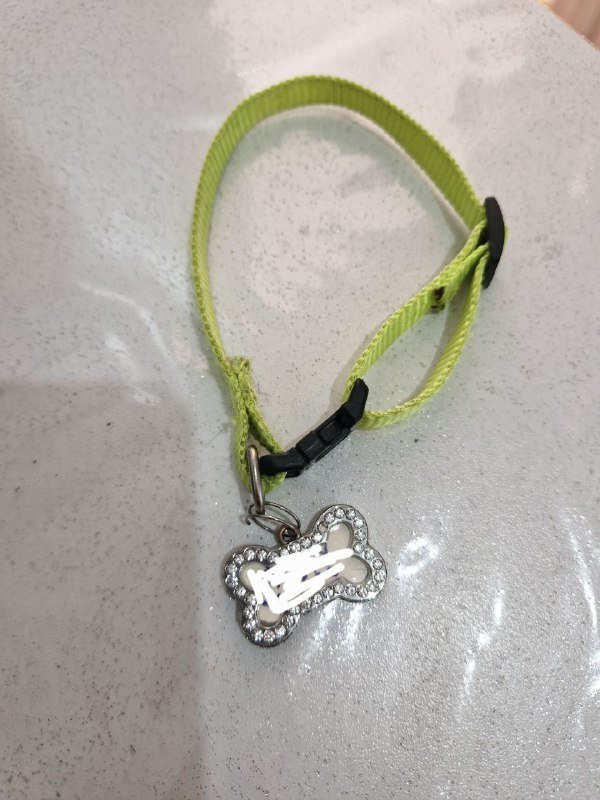 Шлейфа с белком для маленькой собаки или кота