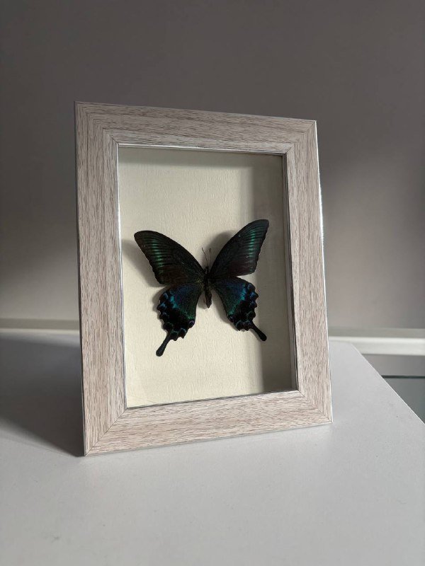 Рамка с бабочкой, корейская пенка для умывания, кашпо, ваза, пленка для MacBook Air