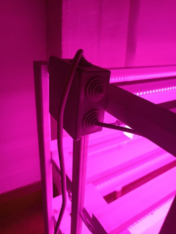 Неоновая полка с фитолампами ручной работы 5
