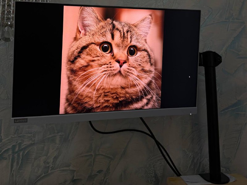 Монитор Lenovo 24.5" L25e-40 с кронштейном 4