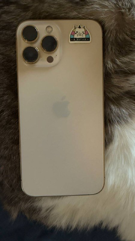 iPhone 13 Pro Max 256 Гб Золото 4