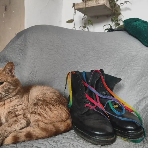 Dr. Martens boots with rainbow stitching and laces