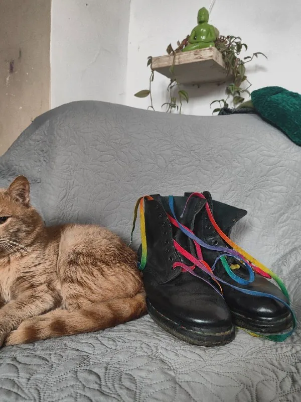 Dr. Martens boots with rainbow stitching and laces 1