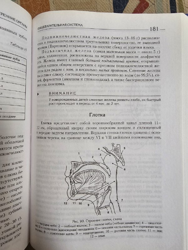 Атлас анатомия и физиология человека 3