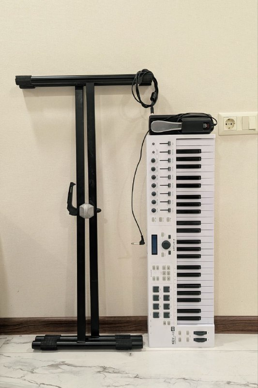 Arturia KeyLab Essential 49, Logitech F310, Raider shlifmashina, plants, containers, Jysk items