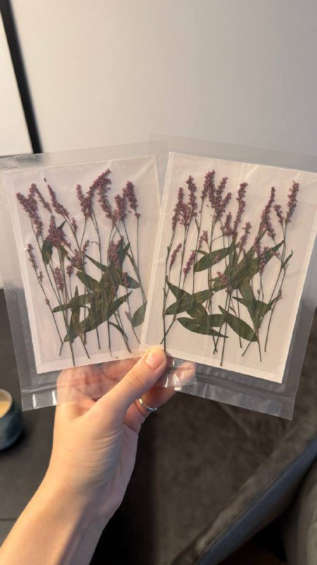 Дырокол, краска для штампа, цифры, высушенные цветы 7