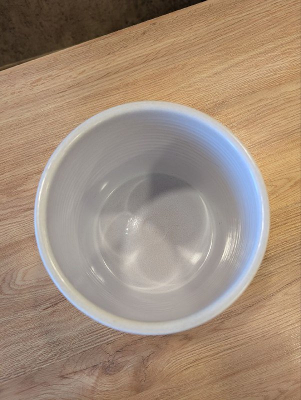 Замиокулькас растение, керамическое кашпо 4