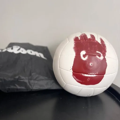 Новый волейбольный мяч Wilson с лицом Уилсона