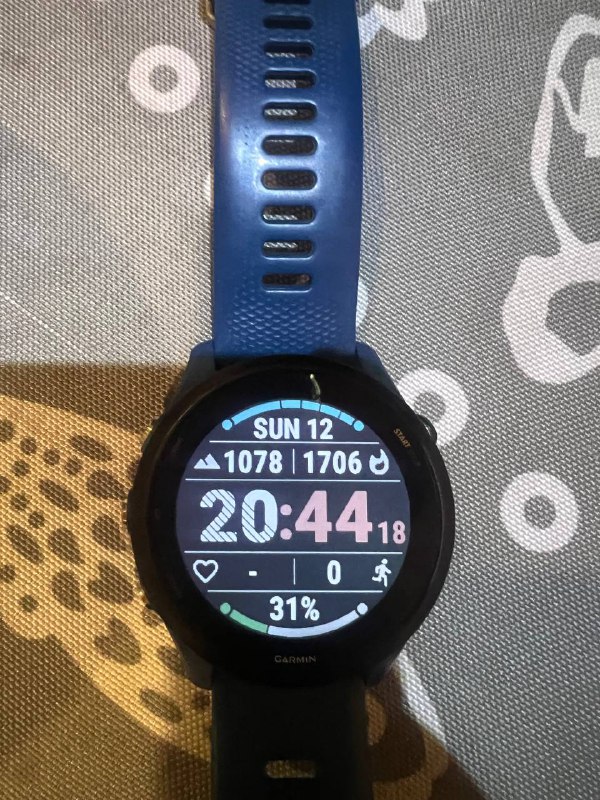 Часы Garmin Forerunner 255 2