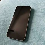 iPhone 16 Pro Max 256 ГБ 1