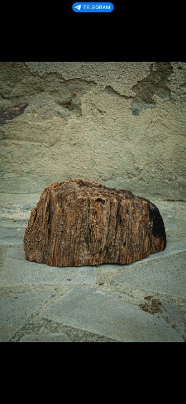 Деревянные изделия мастера: скульптуры и мебель 10