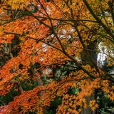 Фотоаппарат Sony Alpha NEX-5N с объективом 5