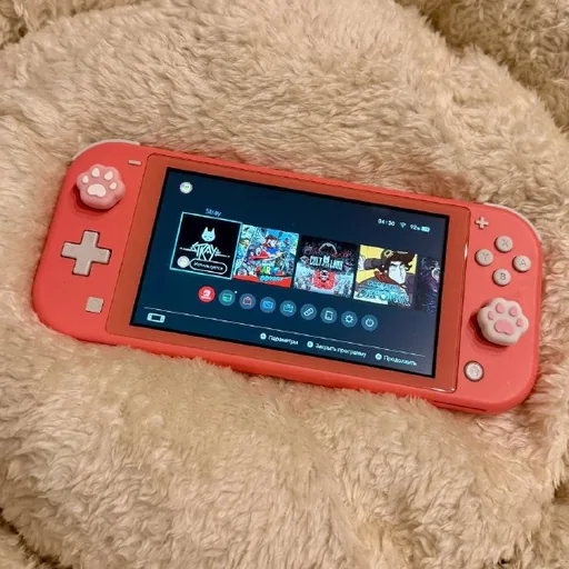 Чипованный Nintendo Switch Lite Coral