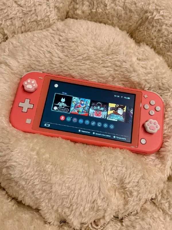 Чипованный Nintendo Switch Lite Coral