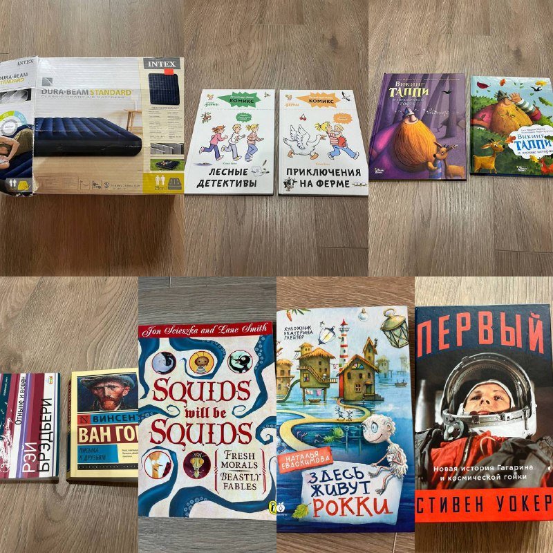 Надувной матрас, комиксы, книги Брэдбери, Ван Гог, детские басни, истории о викинге, книги разные