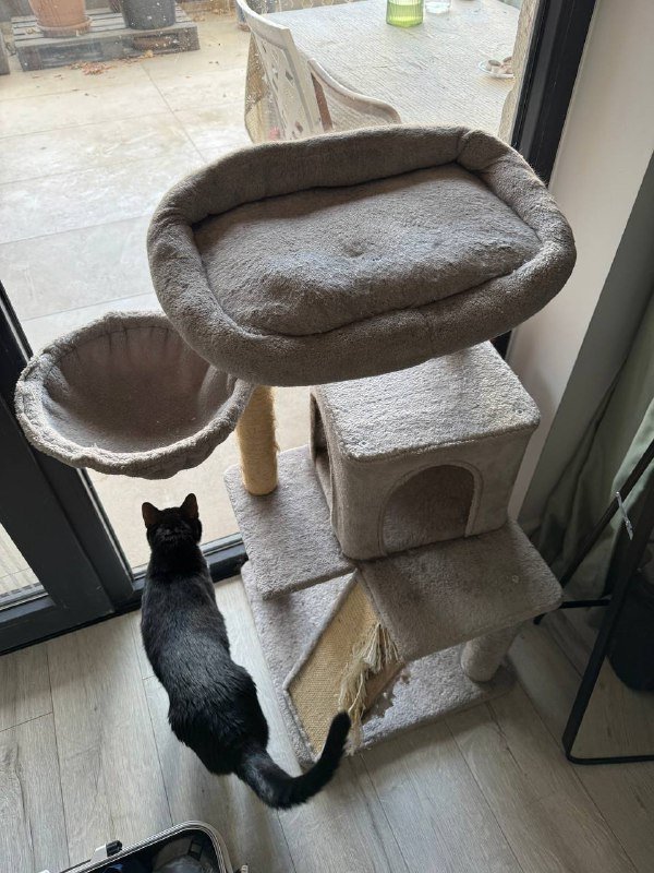 Когтеточка для кошек