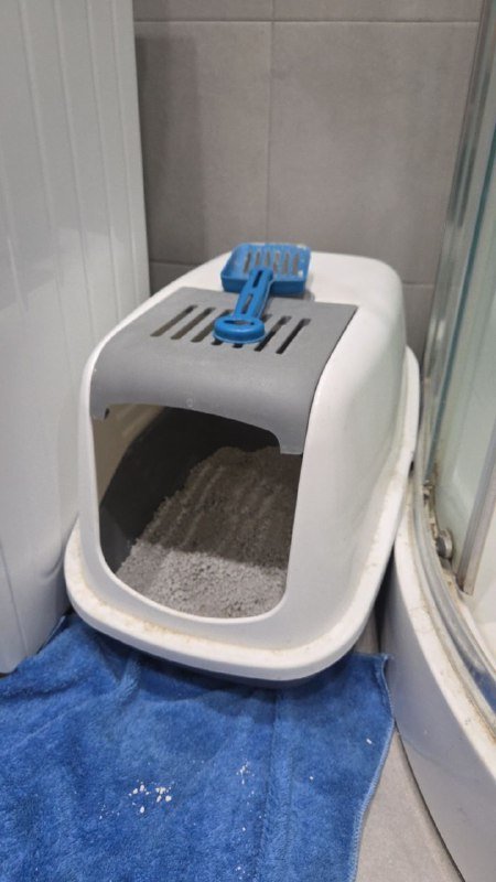 Большой лоток для кота б/у