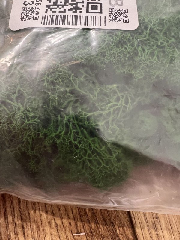 Стабилизированный мох 2