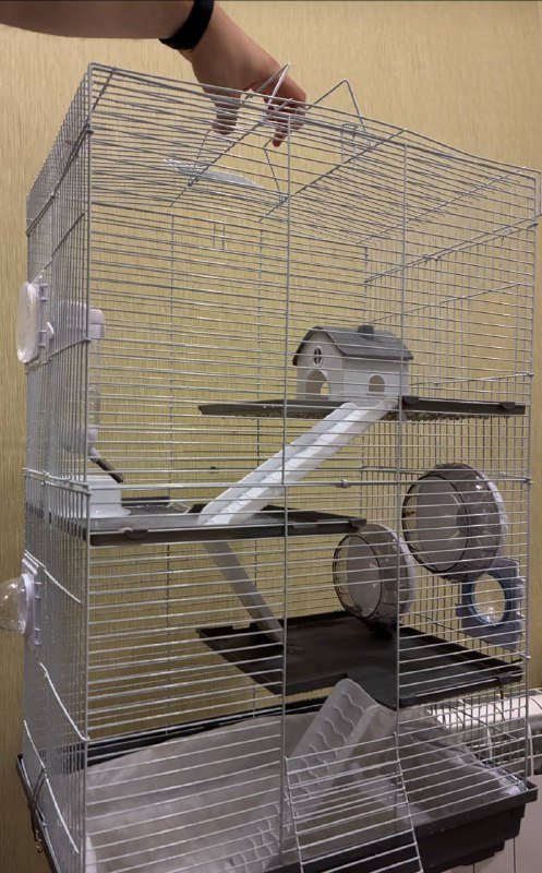 Крысенок девочка, клетка 4 этажа с туннелями, миской, поилкой 3