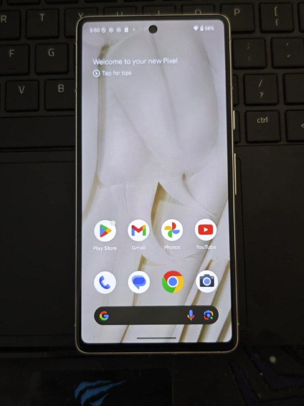 Google Pixel 7