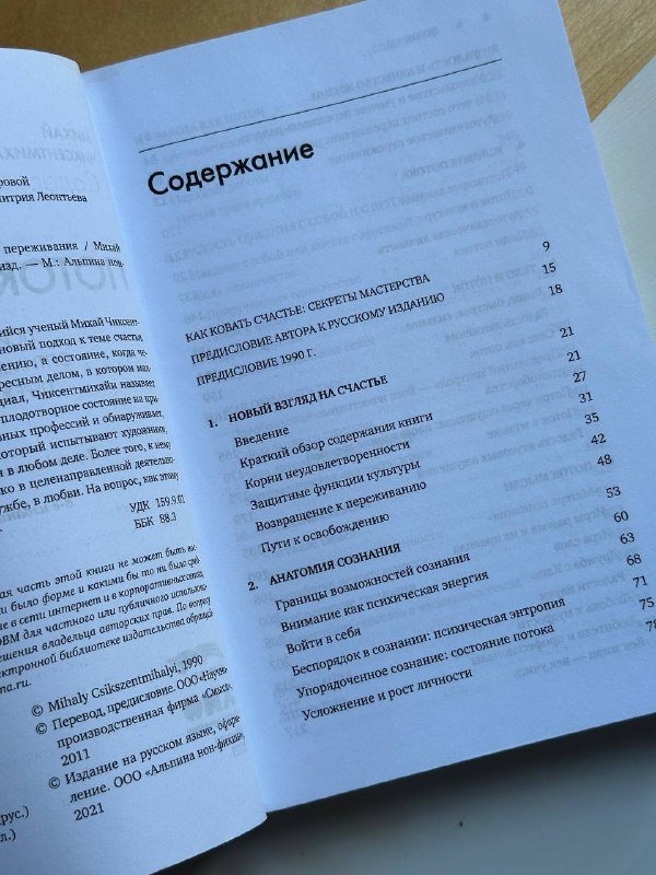 Книги Джен Синсеро, Эми Ньюмарк, Михаил Лабковский, Михай Чиксентмихайи 8