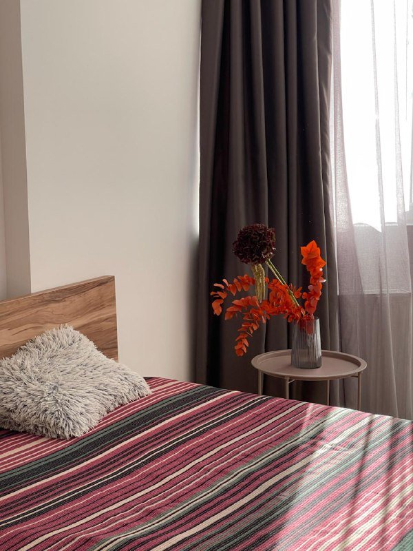 Уютная квартира с мебелью на Багратиони, 130 2