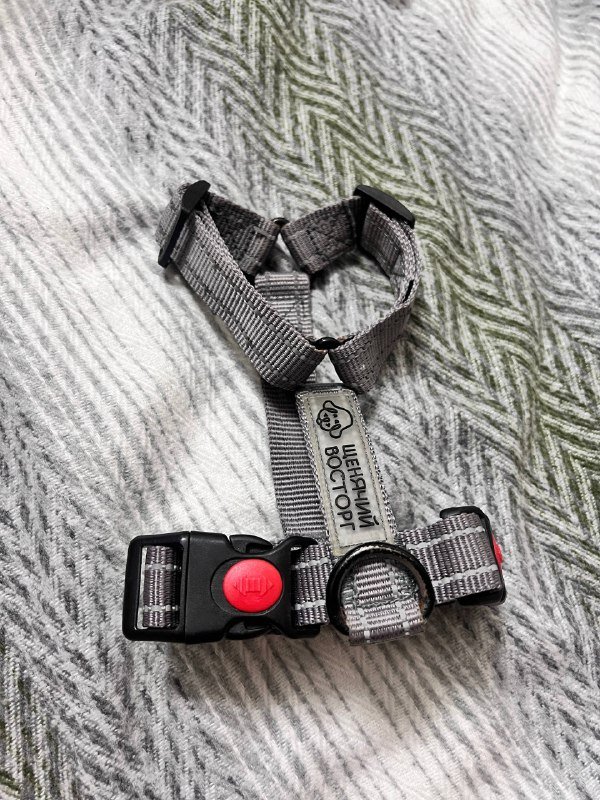 Анатомическая шлейка, поводок, маска от колтунов, расческа, воск, когтерез, декоративное растение