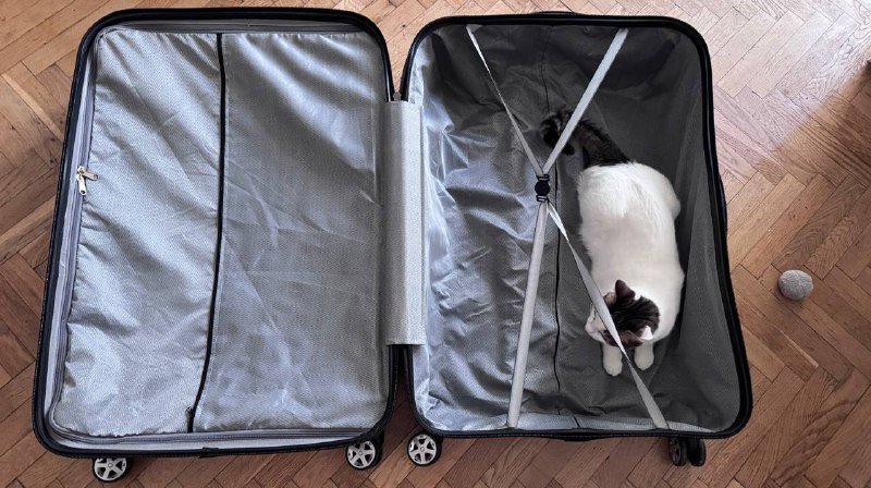 Чемодан XL на 4 колеса 4