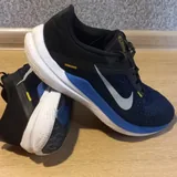 Кроссовки Nike Winflo 10 2
