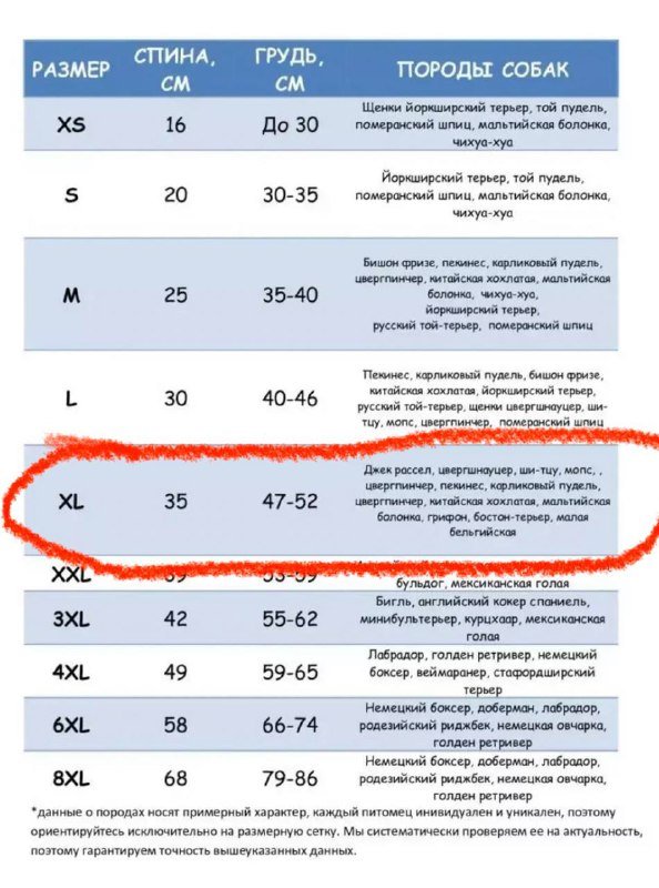 Дождевик для собаки XL 2