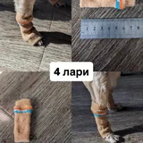 Обувь и носочки для собаки 2