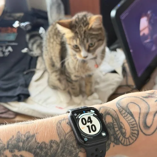 Apple Watch Nike SE 44 мм