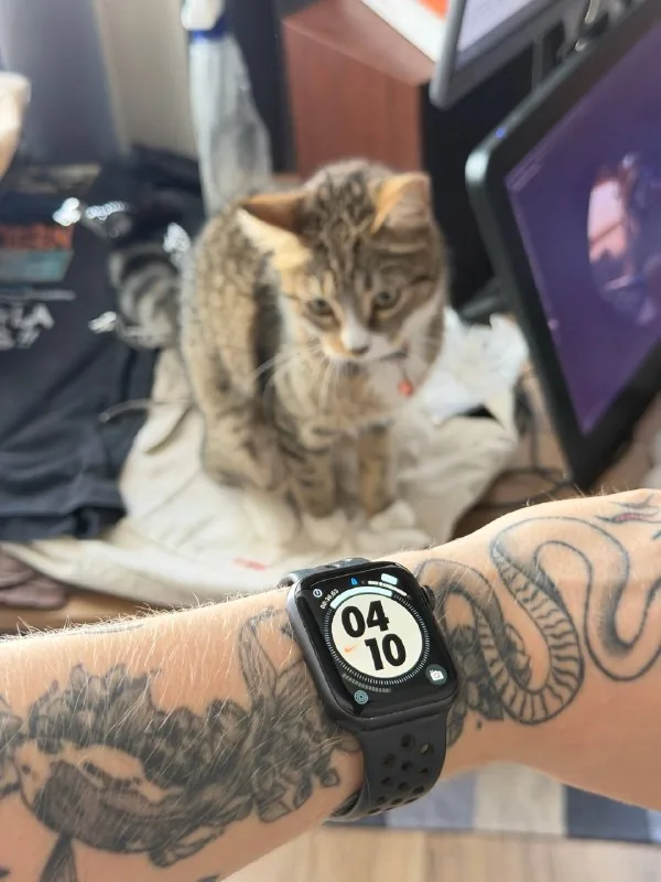 Apple Watch Nike SE 44 мм 1