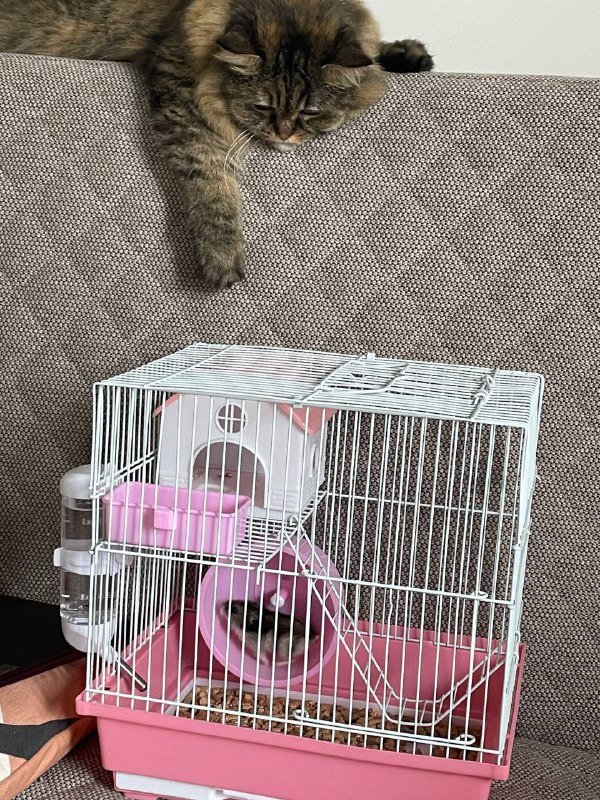 Урна, полка, ступенька, деревянный стул, клетка для хомяка 6