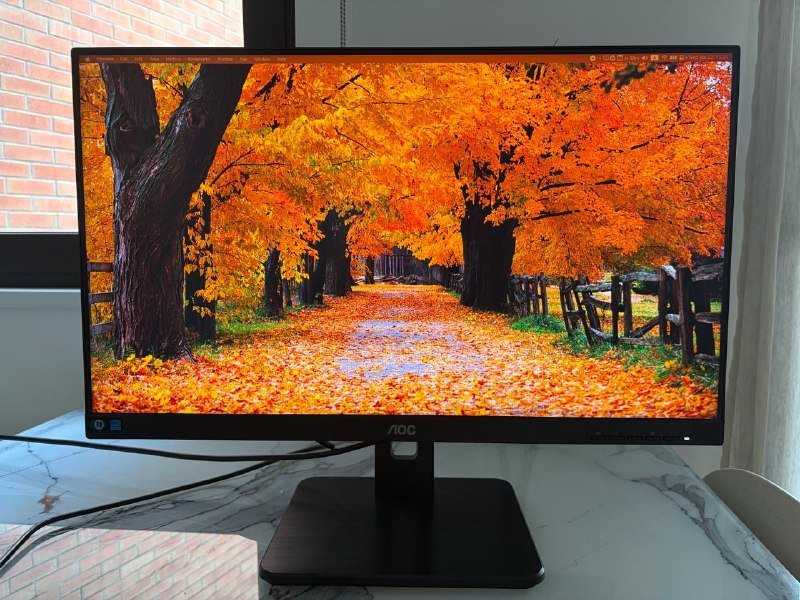 Монитор AOC 24P2C