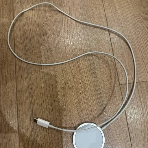 Apple MagSafe Charger