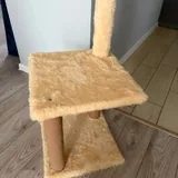 Когтеточка 1