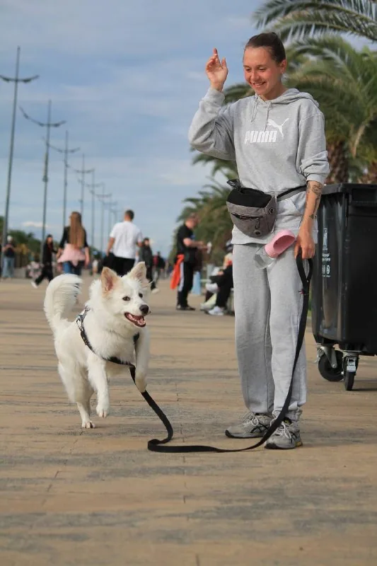Pet sitter Batami