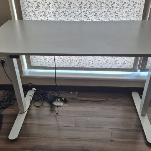 Электрический стол Standing Desk SVANEKE