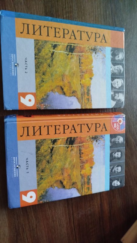 Учебник по литературе для 9 класса в 2 частях