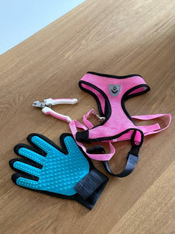 Перчатка для вычесывания шерсти, поводок для кошки